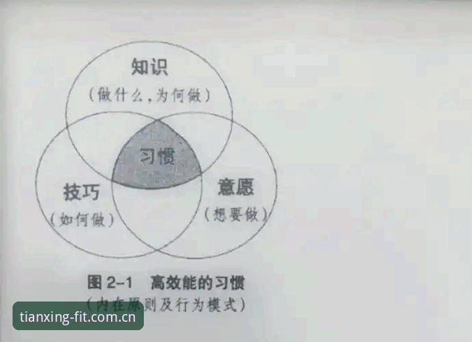 天行体育下载的5个核心优势与3种高效使用技巧